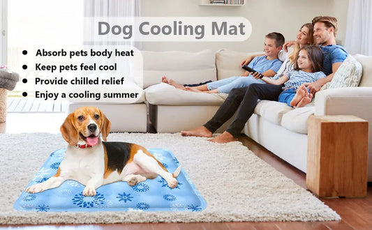 Beat-the-Heat-and-Chill-Your-Pet-s-Guide-to-Effortless-Temperature-Comfort PawBayPets