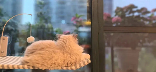 Window-Perches-The-Science-Backed-Sanctuary-for-Your-Anxious-Cat PawBayPets