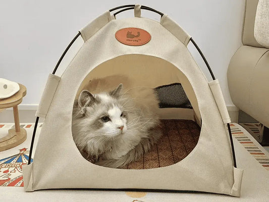 How-to-Choose-the-Perfect-Portable-Pet-Tent-for-Travel PawBayPets