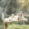2-in-1 Cat Hammock Bed with Detachable Toy - Wall-Mounted Sleep & Play PawBayPets