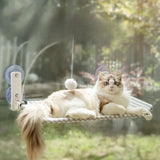 2-in-1 Cat Hammock Bed with Detachable Toy - Wall-Mounted Sleep & Play PawBayPets