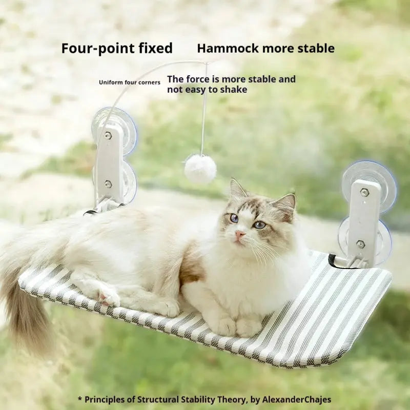 2-in-1 Cat Hammock Bed with Detachable Toy - Wall-Mounted Sleep & Play PawBayPets