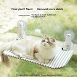 2-in-1 Cat Hammock Bed with Detachable Toy - Wall-Mounted Sleep & Play PawBayPets