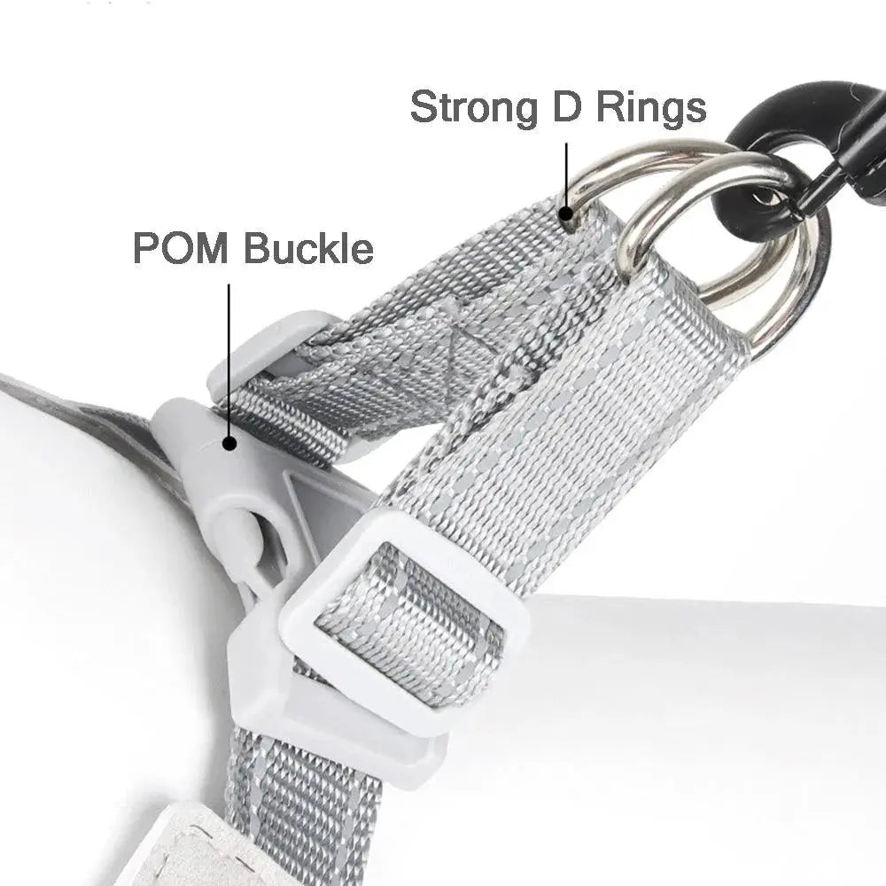 Adjustable Dog Harness for Small & Medium Dogs - Reflective Chest Strap for Outdoor Walks - PawBayPets