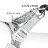 Adjustable Dog Harness for Small & Medium Dogs - Reflective Chest Strap for Outdoor Walks - PawBayPets