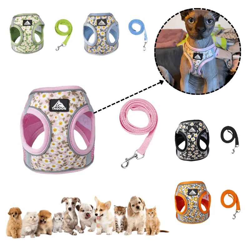 Small Cats&Dogs Walk Kit: Floral Harness, Leash - PawBayPets