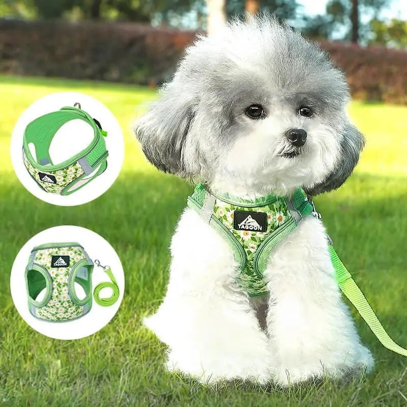 Small Cats&Dogs Walk Kit: Floral Harness, Leash - PawBayPets