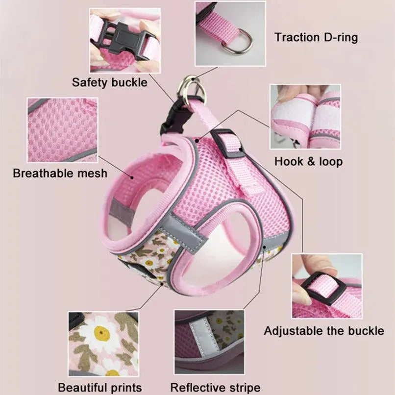 Small Cats&Dogs Walk Kit: Floral Harness, Leash - PawBayPets