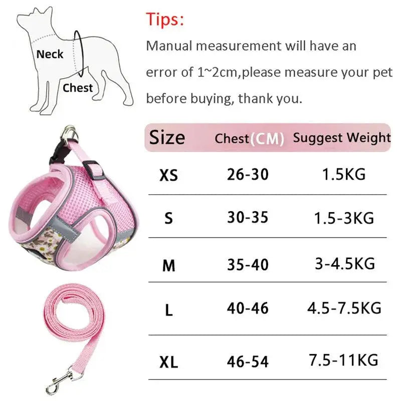 Small Cats&Dogs Walk Kit: Floral Harness, Leash - PawBayPets