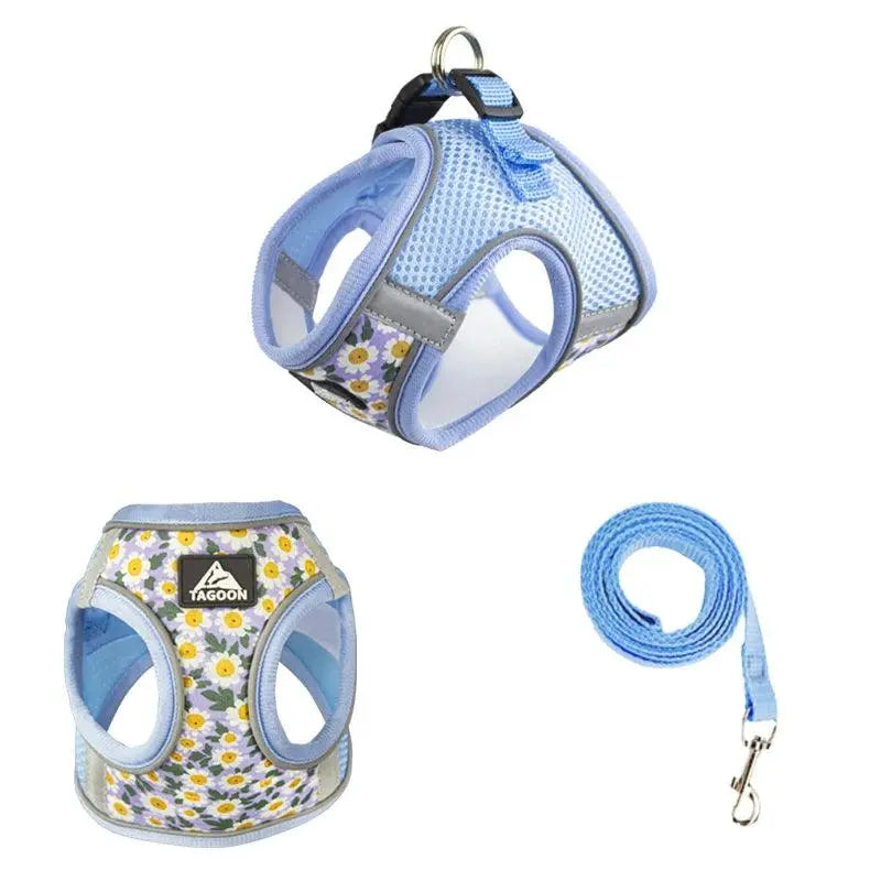 Small Cats&Dogs Walk Kit: Floral Harness, Leash - PawBayPets
