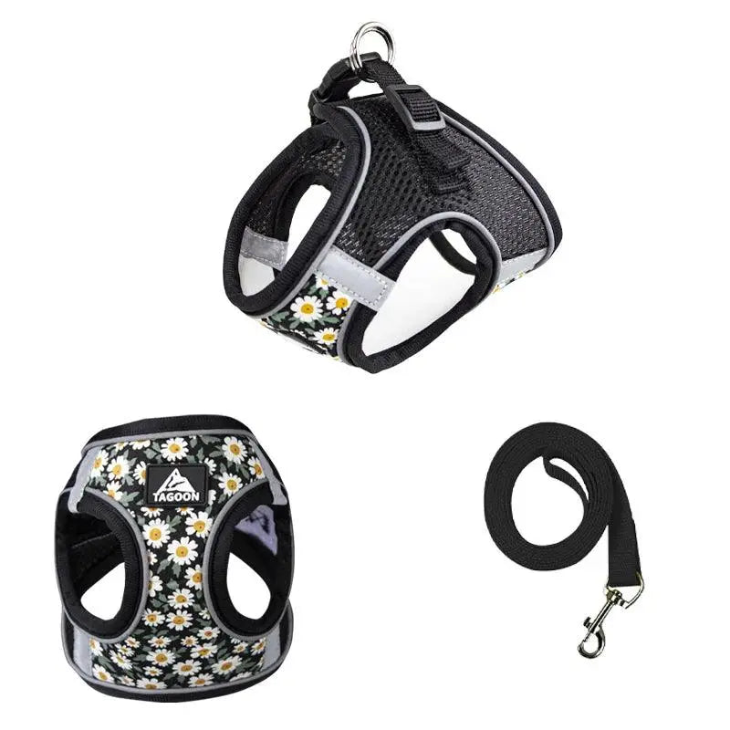 Small Cats&Dogs Walk Kit: Floral Harness, Leash - PawBayPets