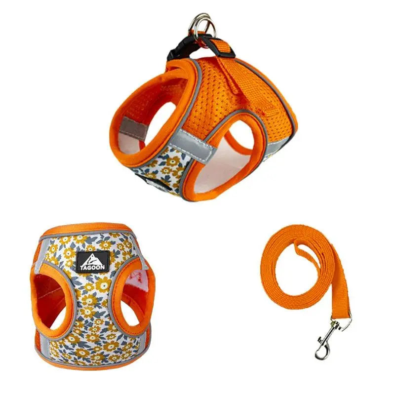 Small Cats&Dogs Walk Kit: Floral Harness, Leash - PawBayPets