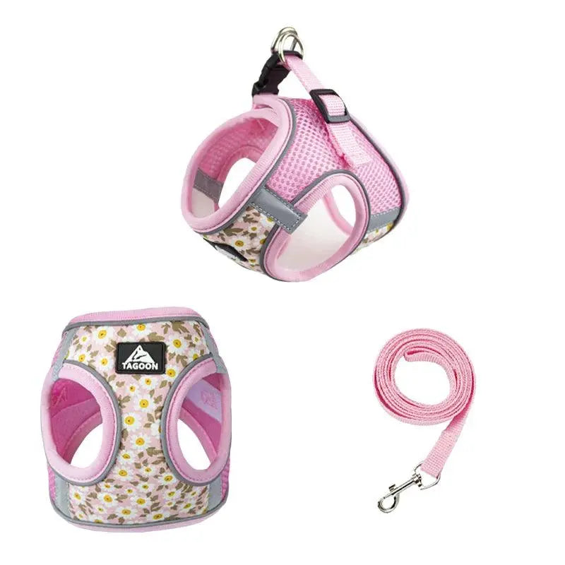 Small Cats&Dogs Walk Kit: Floral Harness, Leash - PawBayPets