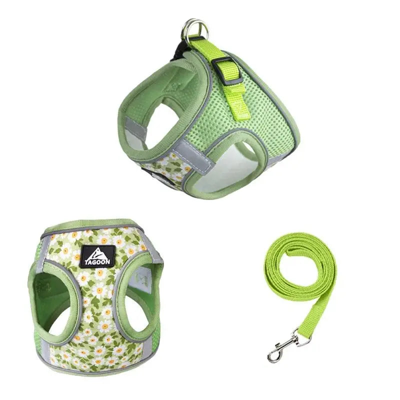 Small Cats&Dogs Walk Kit: Floral Harness, Leash - PawBayPets