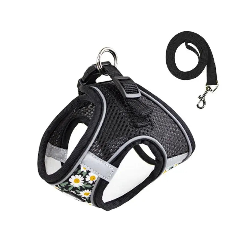 Small Cats&Dogs Walk Kit: Floral Harness, Leash - PawBayPets