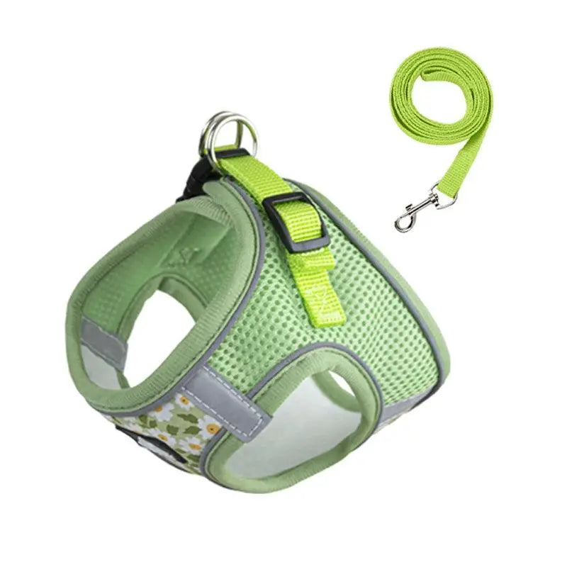 Small Cats&Dogs Walk Kit: Floral Harness, Leash - PawBayPets