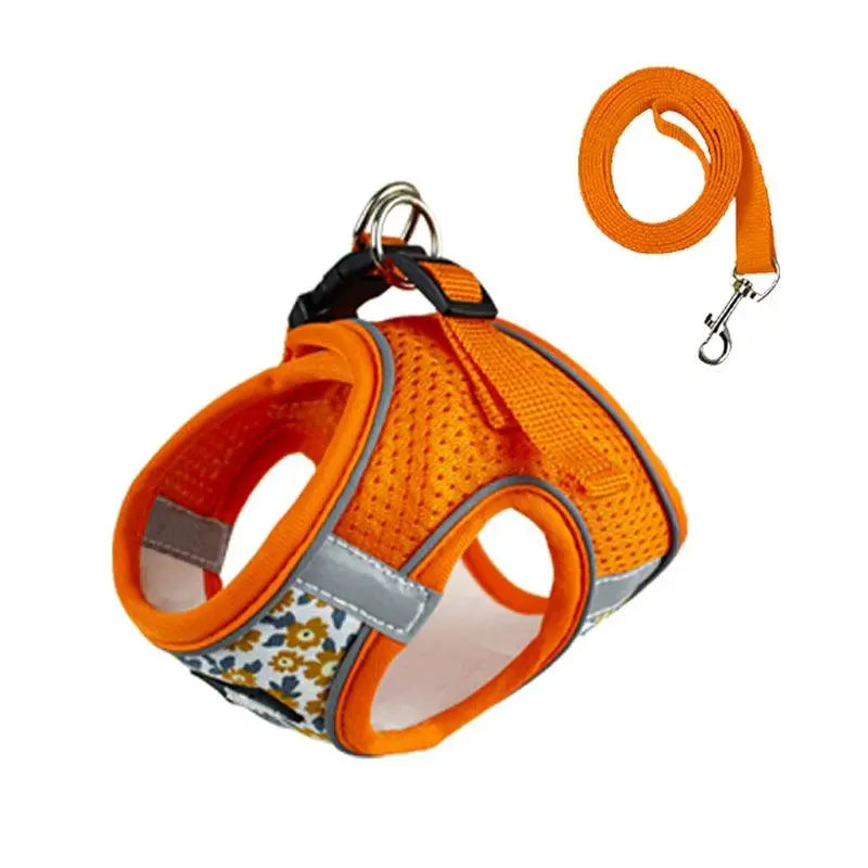 Small Cats&Dogs Walk Kit: Floral Harness, Leash - PawBayPets
