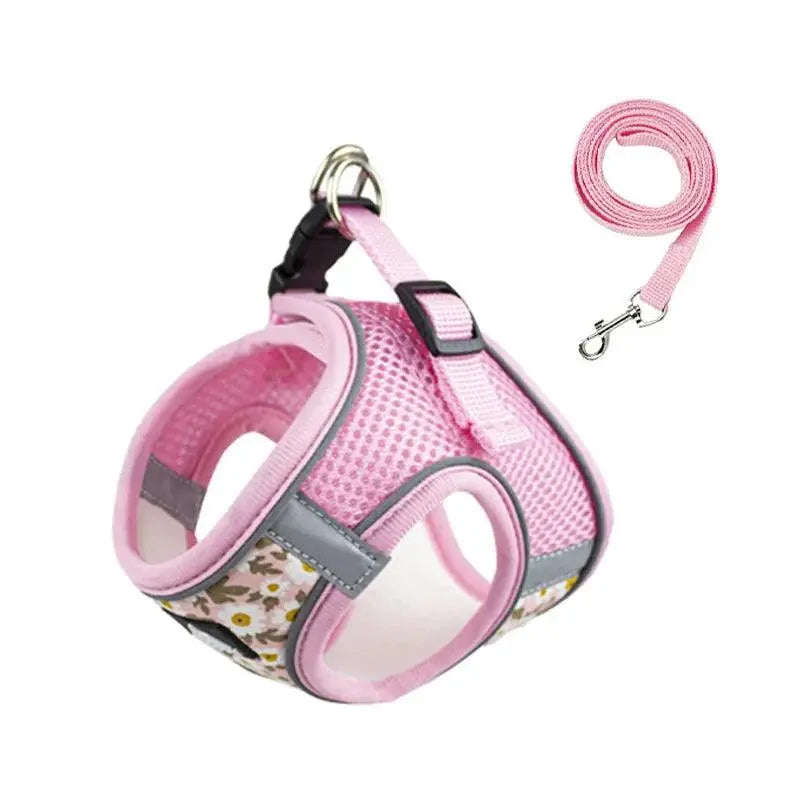 Small Cats&Dogs Walk Kit: Floral Harness, Leash - PawBayPets