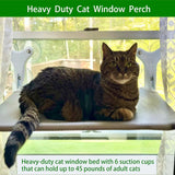 Heavy Duty Cat Window Perch - Foldable 45lb Capacity with 6 Suction Cups PawBayPets