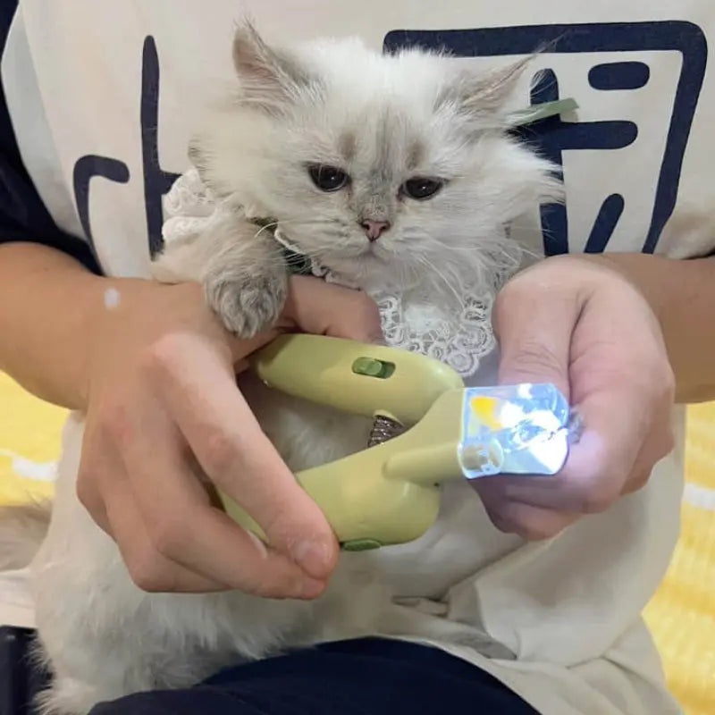 LED Pet Nail Clipper with Blood Line Detection & Banana Grip PawBayPets
