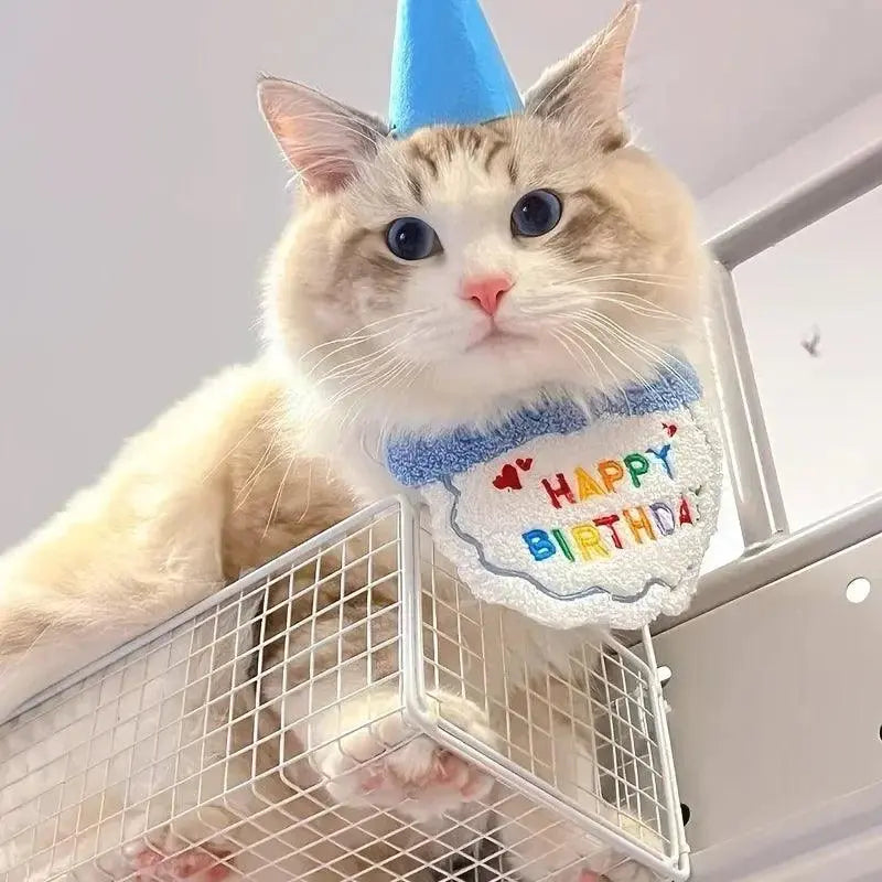 Pet Birthday Accessories Set - Adorable, Adjustable for Cats & Dogs: Party Hat, Bandana and Drool Scarf - PawBayPets