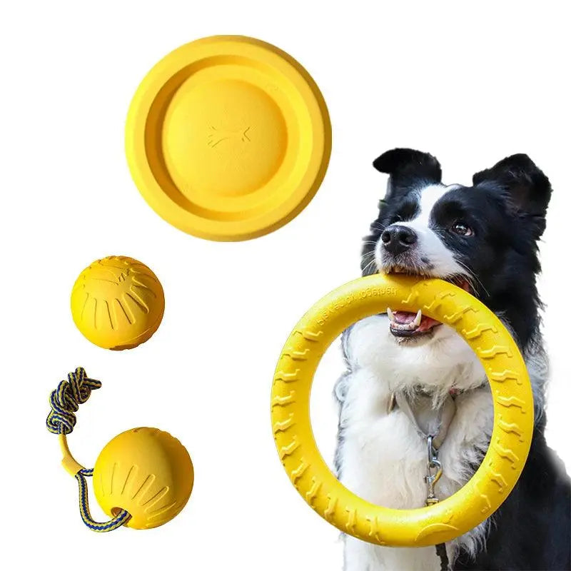 Pet Dog Interactive Toy Set - 4 Pieces, EVA Material, Anti-bite & Floating (Frisbee + Pull Ring) - PawBayPets
