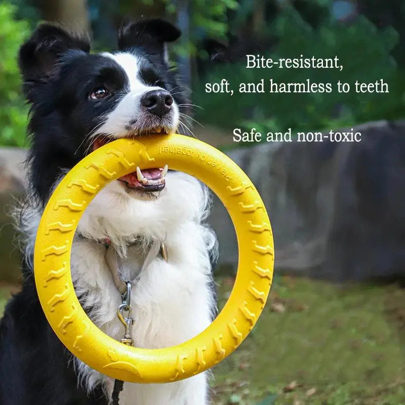 Pet Dog Interactive Toy Set - 4 Pieces, EVA Material, Anti-bite & Floating (Frisbee + Pull Ring) - PawBayPets