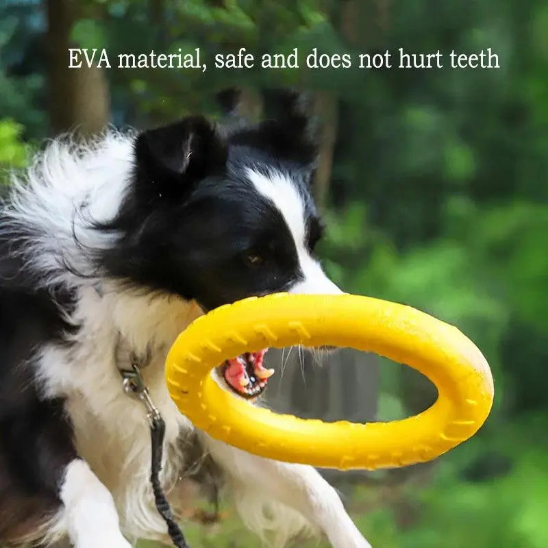 Pet Dog Interactive Toy Set - 4 Pieces, EVA Material, Anti-bite & Floating (Frisbee + Pull Ring) - PawBayPets