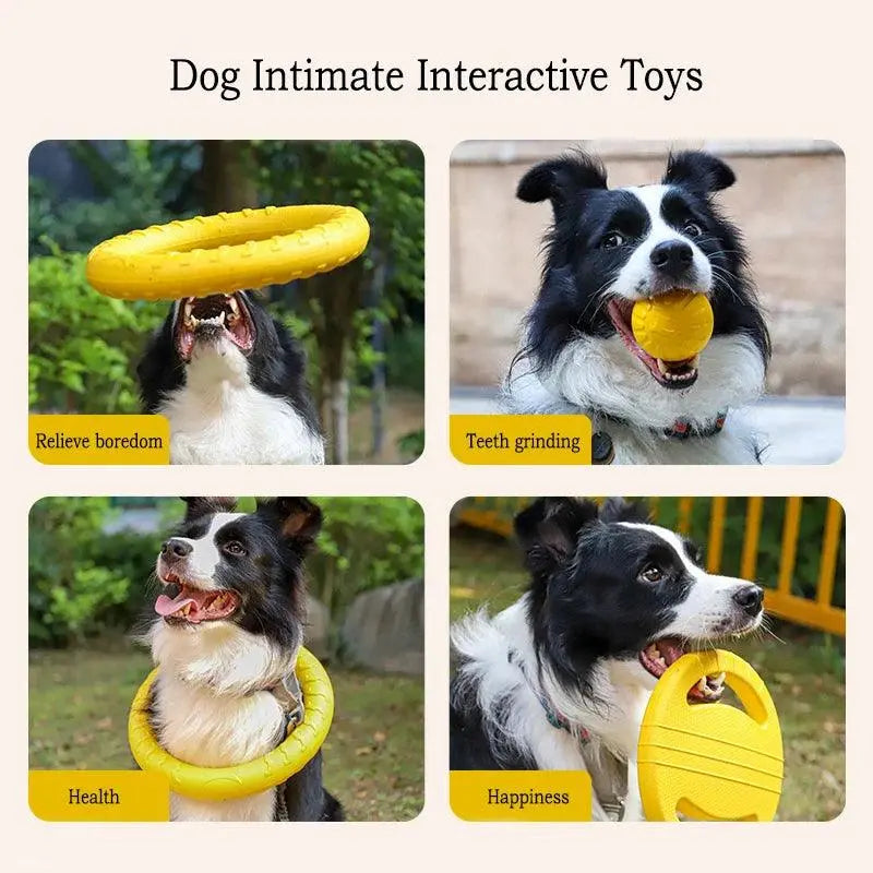 Pet Dog Interactive Toy Set - 4 Pieces, EVA Material, Anti-bite & Floating (Frisbee + Pull Ring) - PawBayPets
