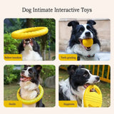 Pet Dog Interactive Toy Set - 4 Pieces, EVA Material, Anti-bite & Floating (Frisbee + Pull Ring) - PawBayPets