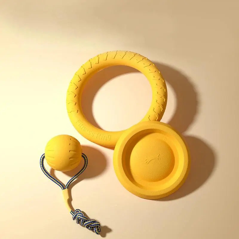 Pet Dog Interactive Toy Set - 4 Pieces, EVA Material, Anti-bite & Floating (Frisbee + Pull Ring) - PawBayPets
