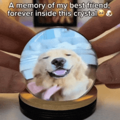 Pet Memory Video Globe™