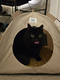 Pop-Up Pet Tent with Privacy Walls - Portable & Waterproof Design Festgoods