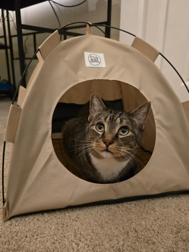 Pop-Up Pet Tent with Privacy Walls - Portable & Waterproof Design Festgoods