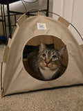 Pop-Up Pet Tent with Privacy Walls - Portable & Waterproof Design Festgoods