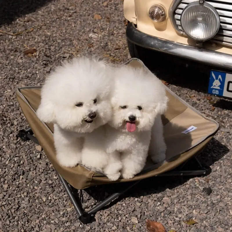 Portable Elevated Pet Cot – Foldable Waterproof Camping Bed PawBayPets