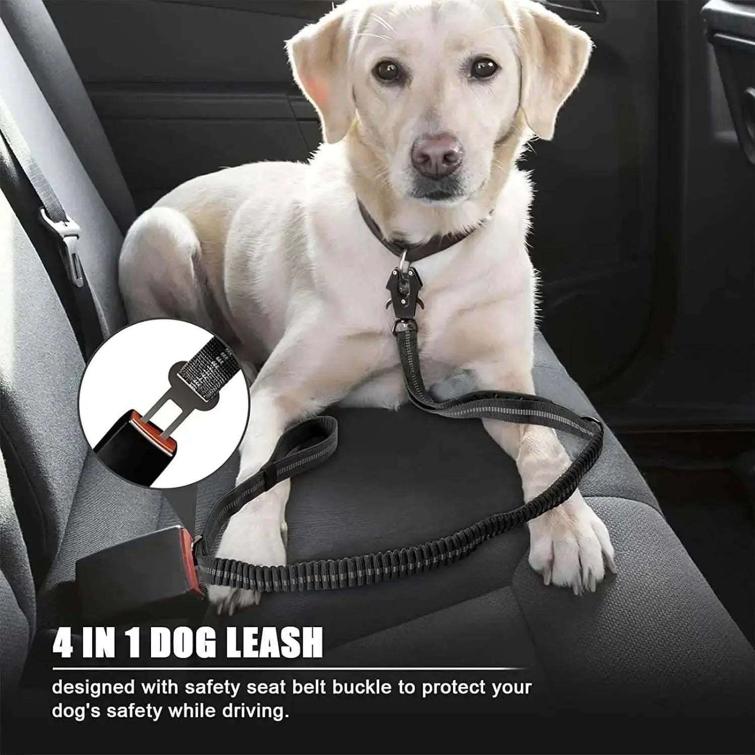 Pet Leashes for Large Dogs’ Car Travel - PawBayPets