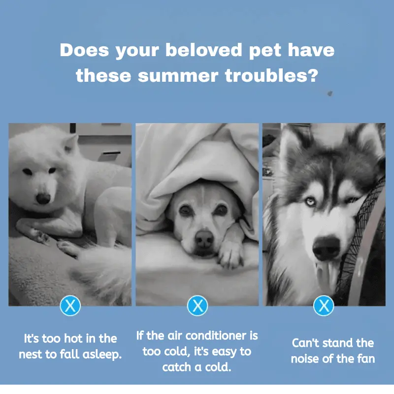 Self-Cooling Gel Mat for Pets - Auto Temperature Control, Portable & Reversible PawBayPets