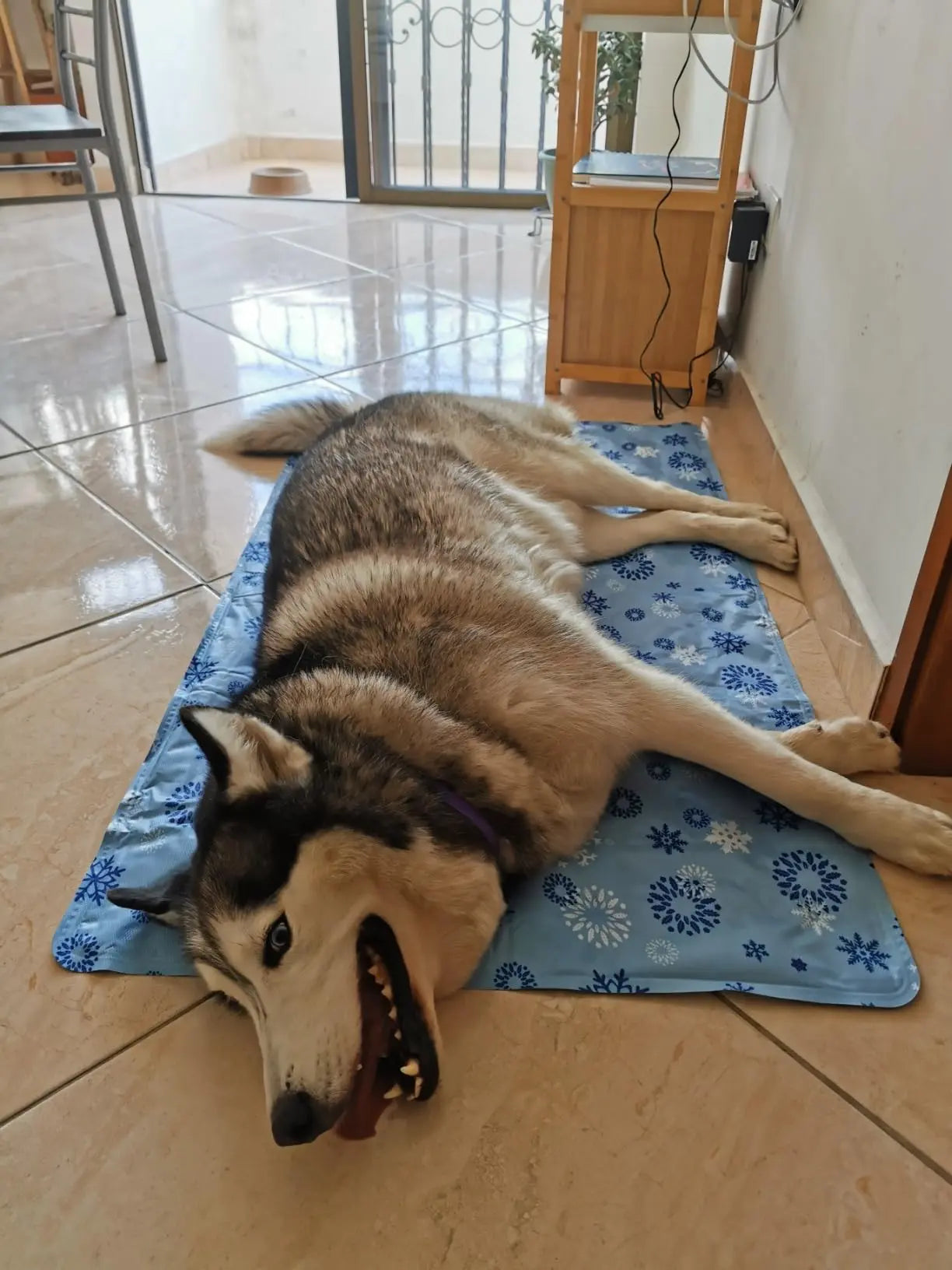 Self-Cooling Gel Mat for Pets - Auto Temperature Control, Portable & Reversible PawBayPets