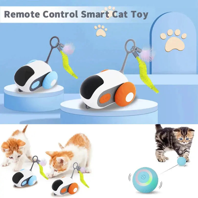 Smart Auto-Avoid Pet Car Toy - Interactive Cat & Dog USB Charging PawBayPets