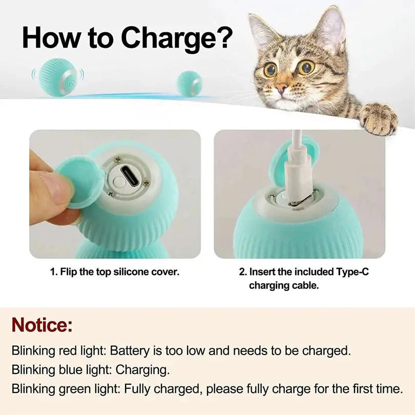 Smart Auto-Avoid Pet Car Toy - Interactive Cat & Dog USB Charging PawBayPets