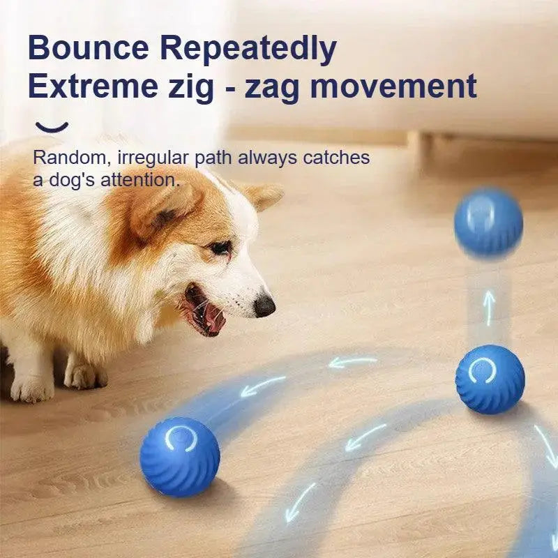 Intelligent Bouncing Ball™ - Dog Toy - PawBayPets