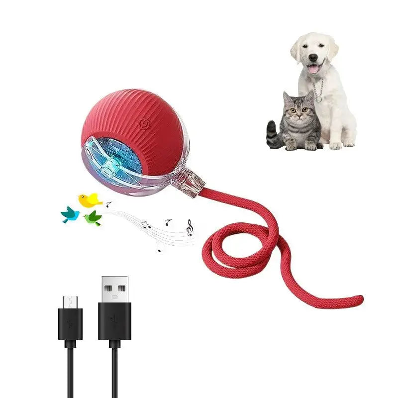 Smart Paw Rolling Ball™ - With Rope - PawBayPets