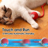 Smart Paw Rolling Ball™ - With Rope - PawBayPets