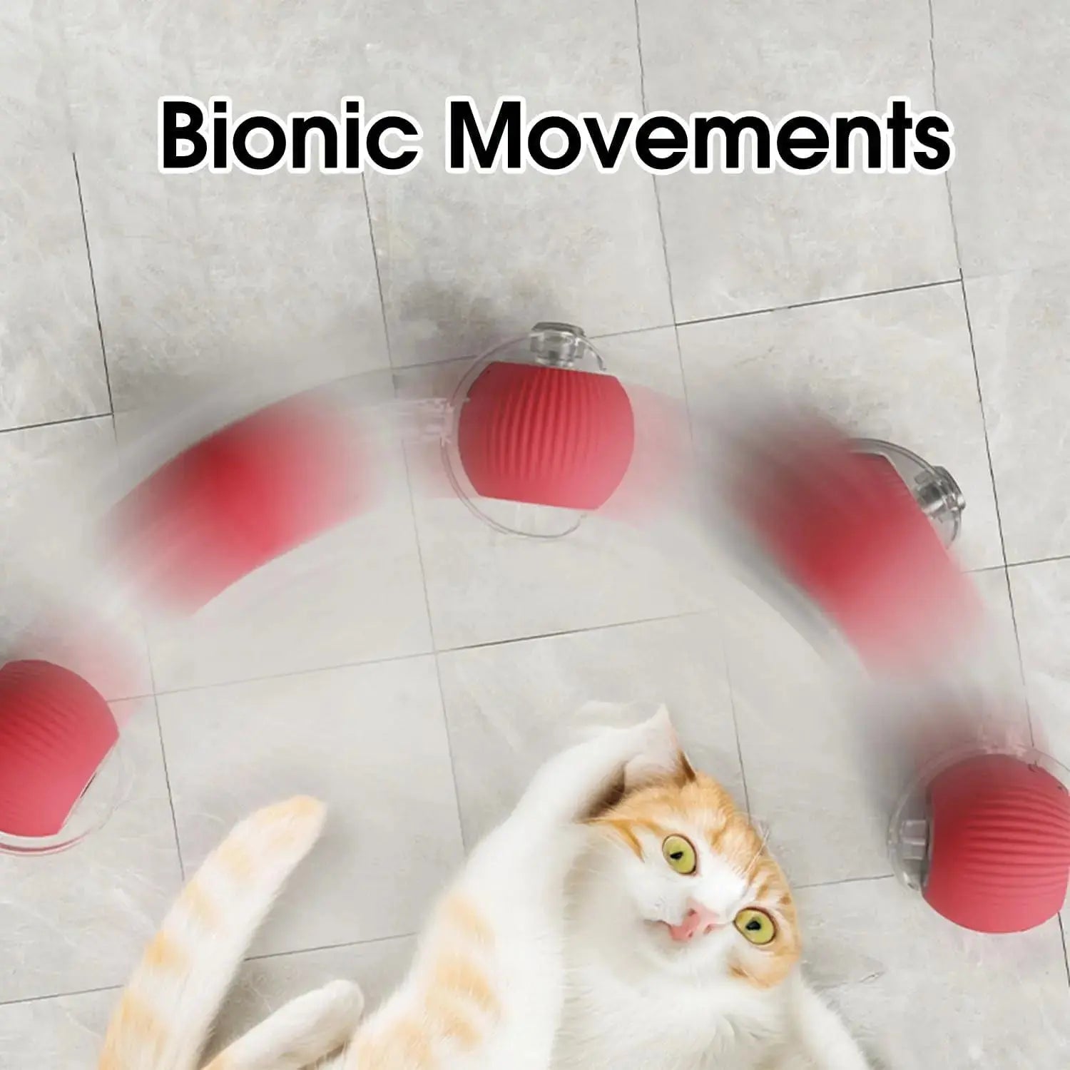 Smart Paw Rolling Ball™ - With Rope - PawBayPets