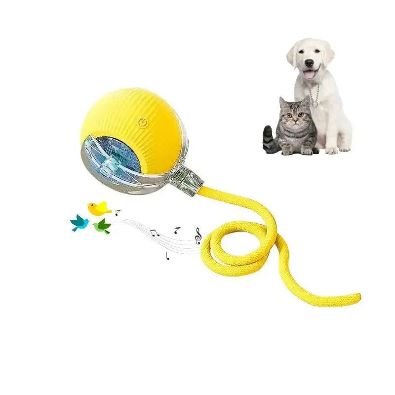 Smart Paw Rolling Ball™ - With Rope - PawBayPets