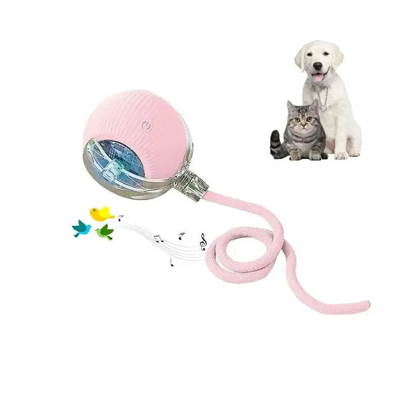 Smart Paw Rolling Ball™ - With Rope - PawBayPets