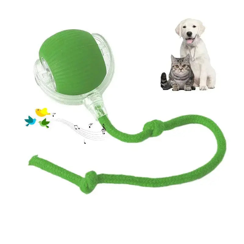 Smart Paw Rolling Ball™ - With Rope - PawBayPets