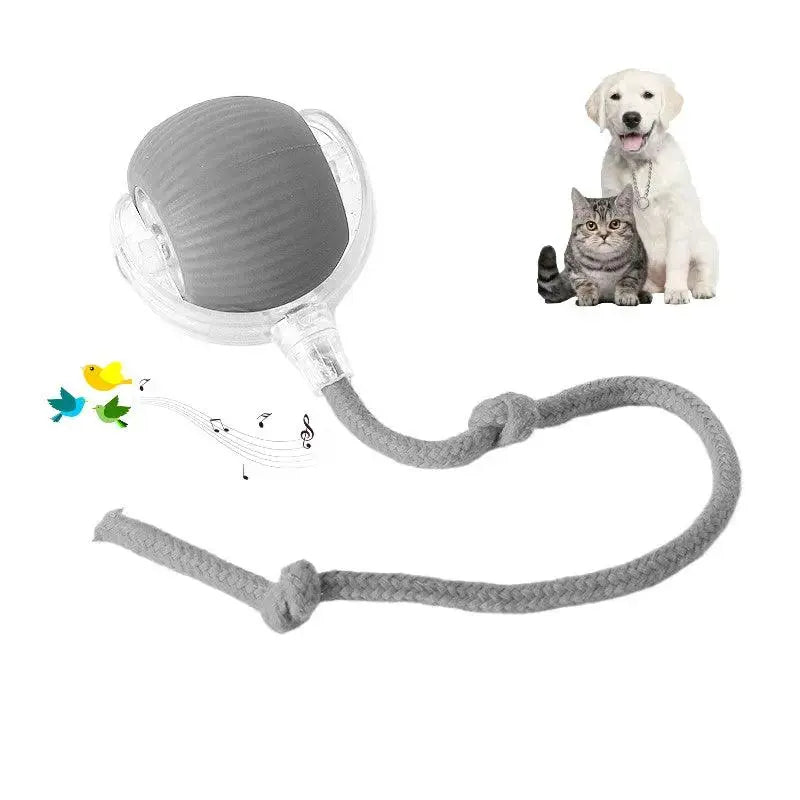 Smart Paw Rolling Ball™ - With Rope - PawBayPets