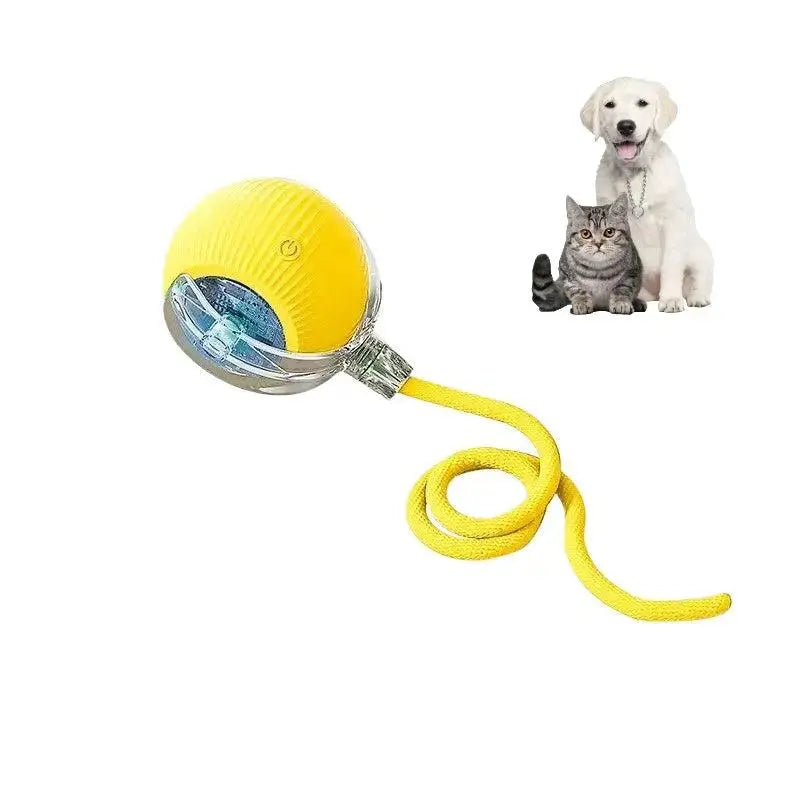 Smart Paw Rolling Ball™ - With Rope - PawBayPets